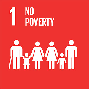 1 - No poverty