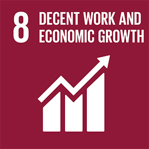 8 - Decent work and economic growth