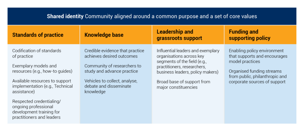 The Strong Field Framework