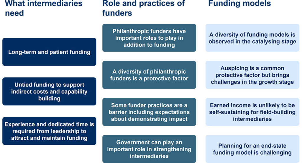 Figure 1: Key themes and observations surfaced from the case studies.