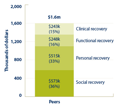 Breakdown of outcomes valued by the peers